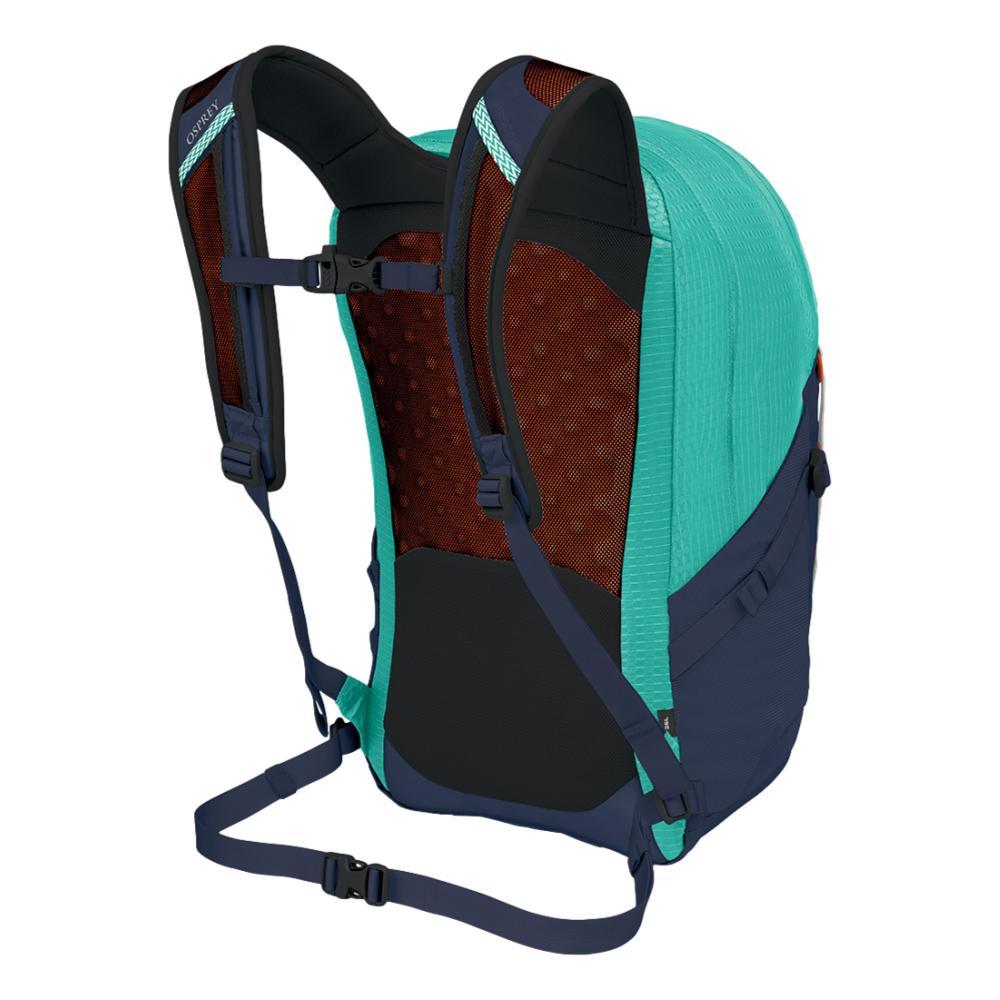 Whole Earth Provision Co. | OSPREY PACKS Osprey Quasar 26 Pack